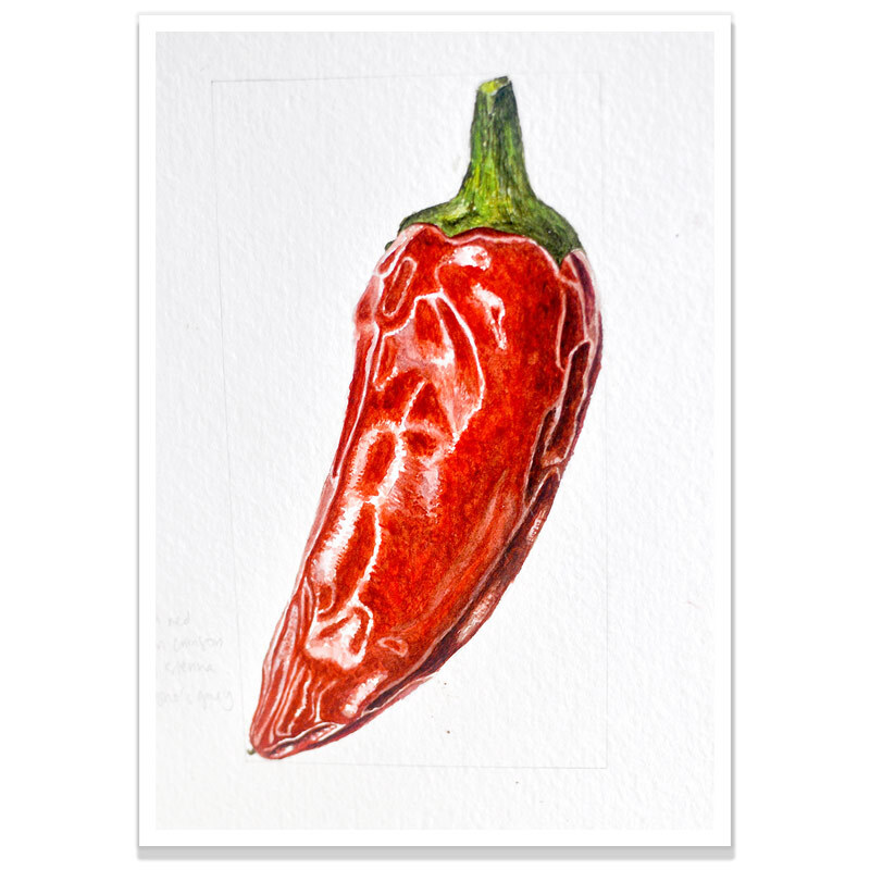 MemberChillis1