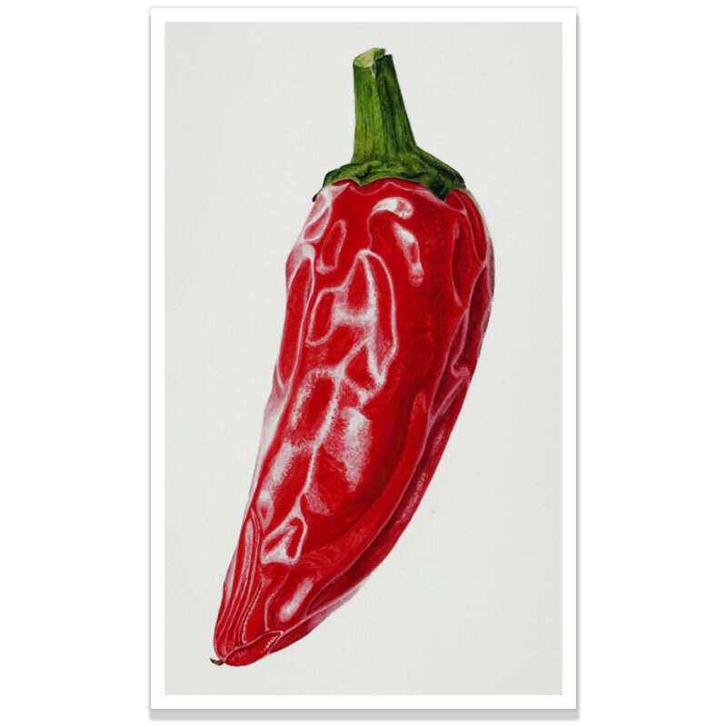 MemberChillis6