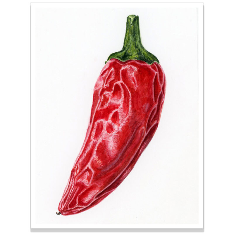 MemberChillis7