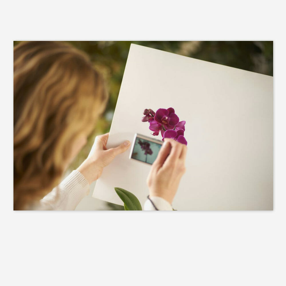 Anna Mason Painting Photos