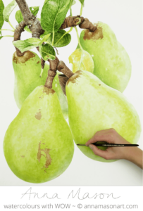 Pear 2 for Artists and Illustrators