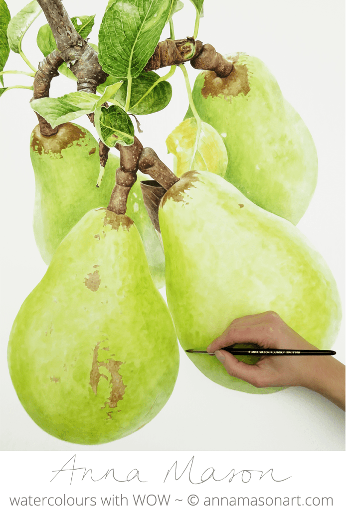 Pear 2 for Artists and Illustrators