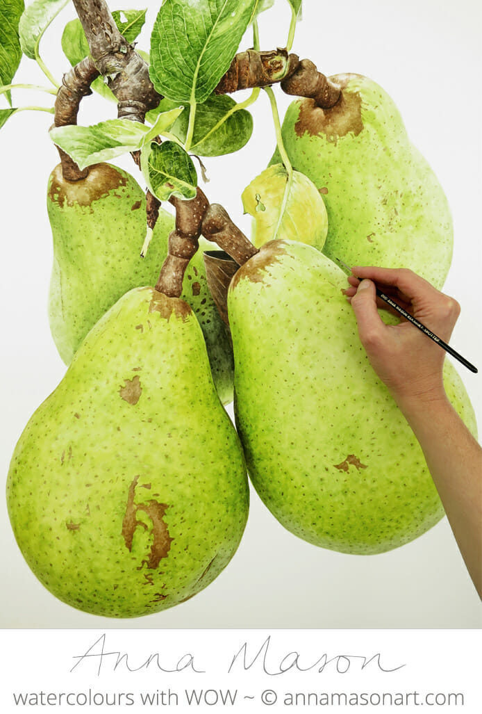 Pears for Artists and Illustrators magazine