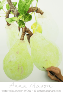Pear 1 for Artists and Illustrators magazine