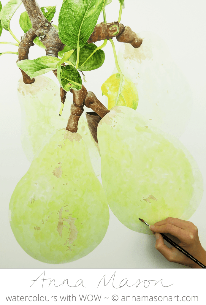 Pear 1 for Artists and Illustrators magazine
