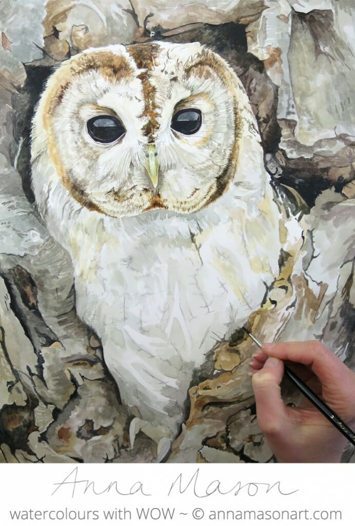The Tawny Owl is coming to life now