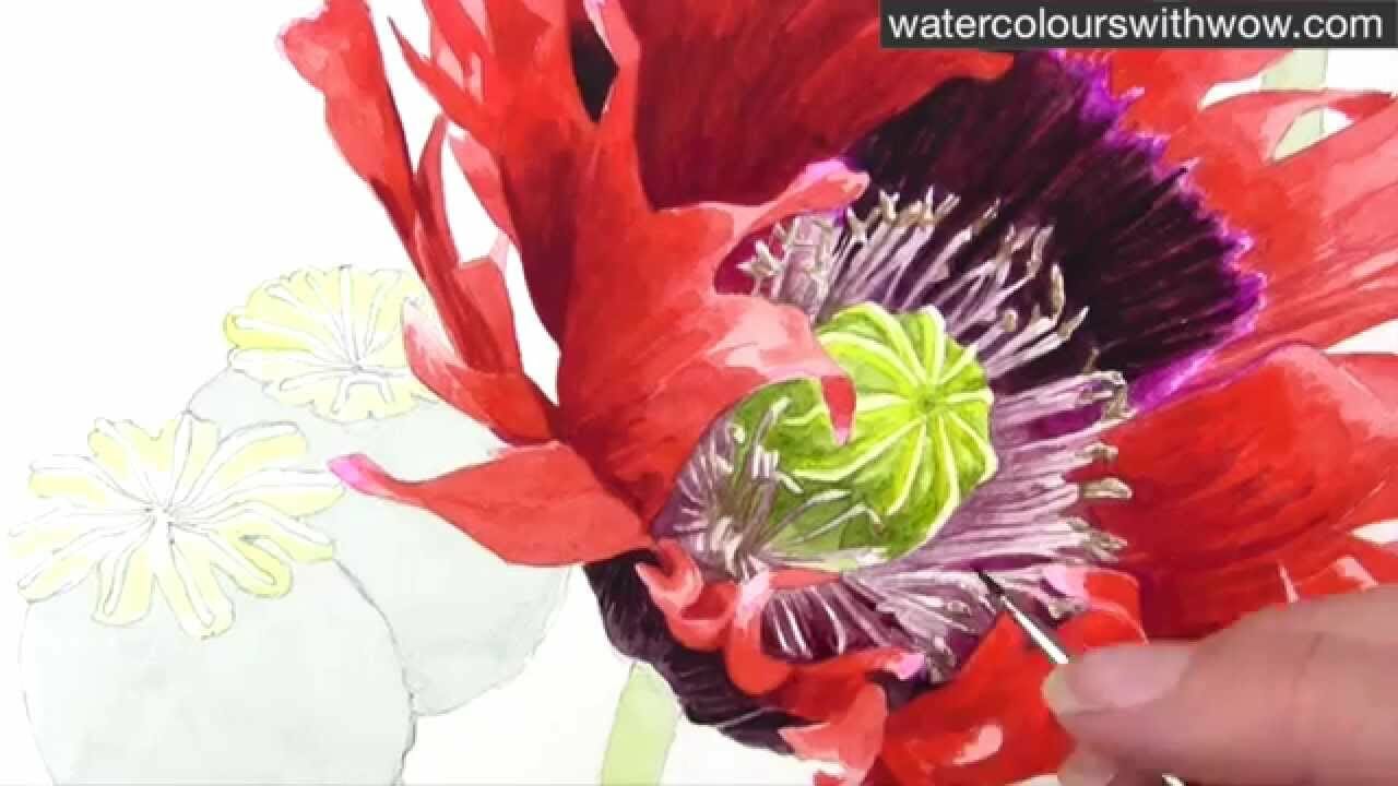 Watercolour painting techniques