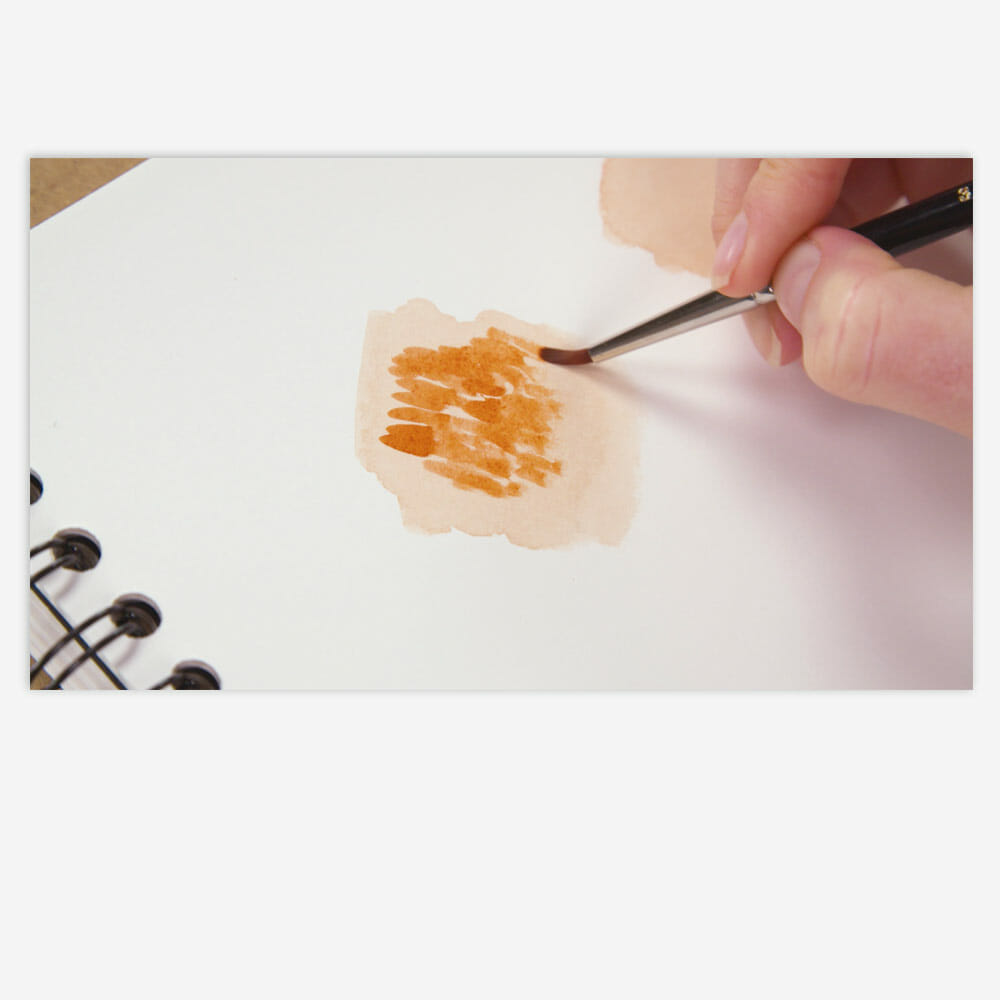 Brush Techniques Anna Mason Art