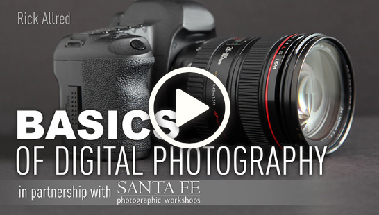 BasicsDigital