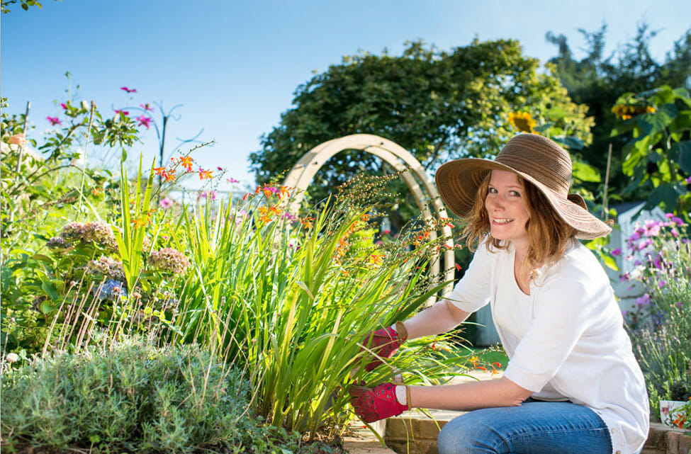 Gardening tv