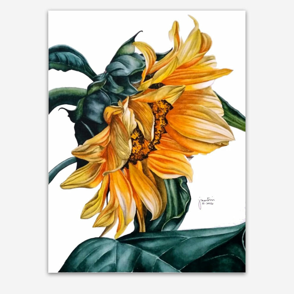 Jean’s Sunflower – Anna Mason Art