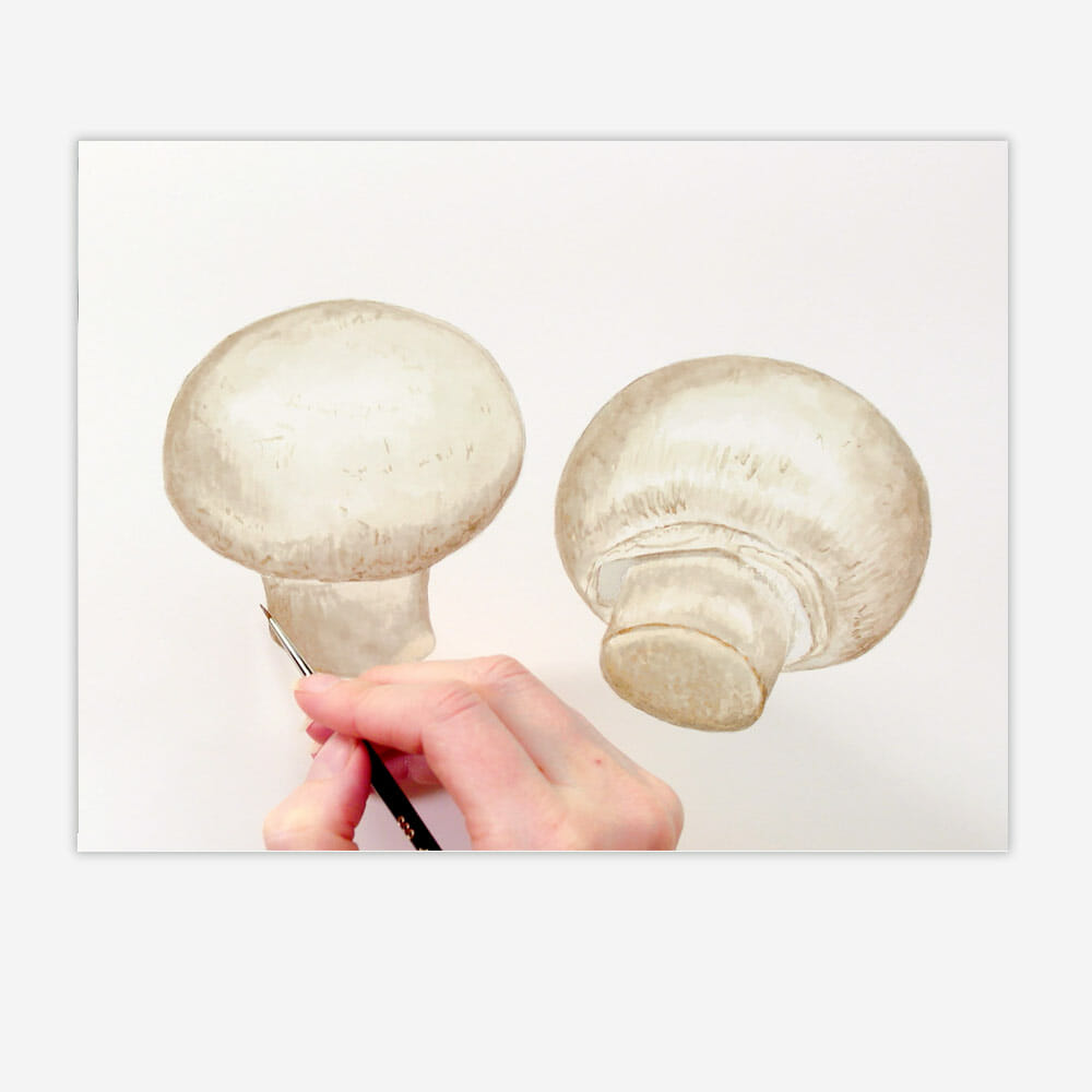 Realistic mushrooms watercolour