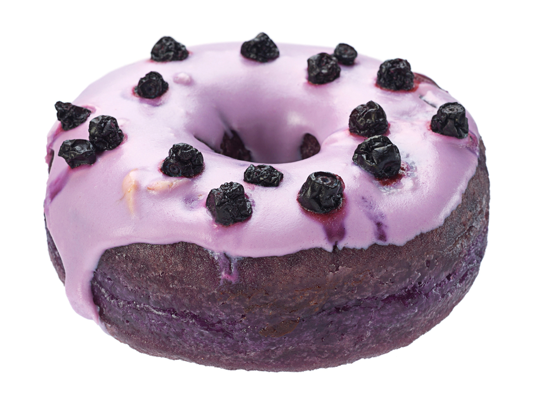 Blueberry Donut Anna Mason Art