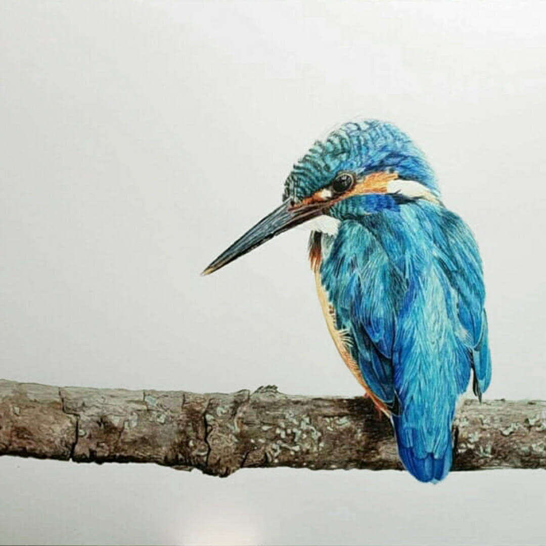 Rachel’s Kingfisher – Anna Mason Art