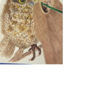 maxine hand w owl2