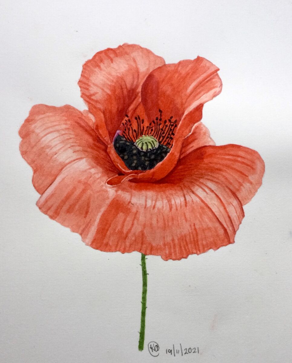 Red Poppy – Anna Mason Art